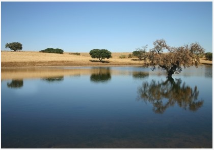 vakantie Portugal