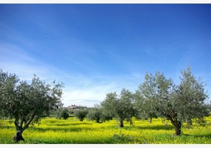 vakantie Portugal