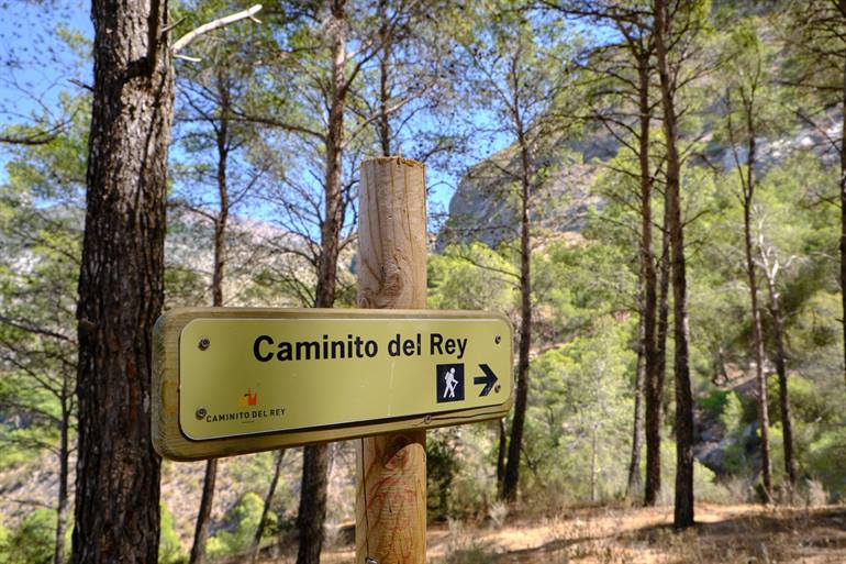 El Caminito del Rey eerst stuk tussen de bomen