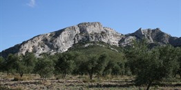 Rondreis Luberon + Alpilles