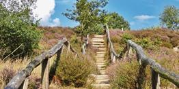 Nationaal Park Hoge Veluwe