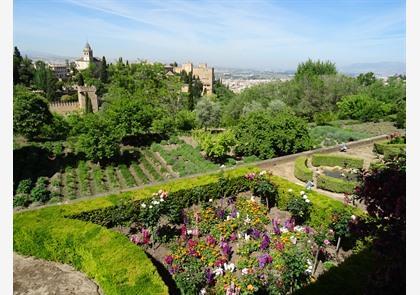 Granada: Alhambra en Generalife bezoeken