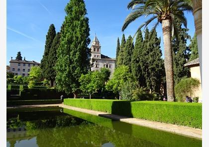 Granada: Alhambra en Generalife bezoeken