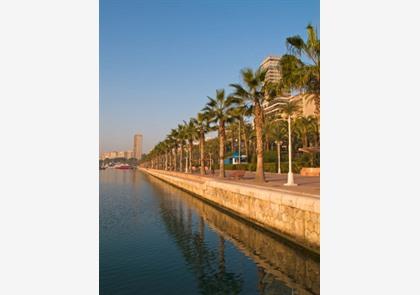Alicante: hoofdstad van de Costa Blanca 