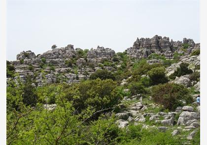 Terug in de tijd in Antequera en El Torcal