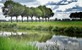 Gelderland, de tuinen van Appeltern