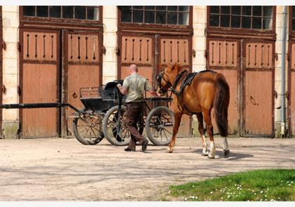 Orne: Argentan, kant en paarden als bezienswaardigheden