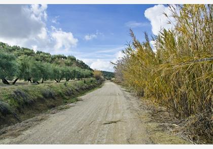 Wandelen en fietsen in de Sierra Subbética