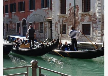 Venetië: Canal Grande, belangrijkste waterweg 