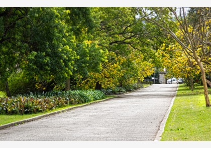 Botanische tuin in Lissabon bezoeken