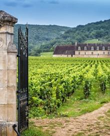 Reisgids Bourgogne