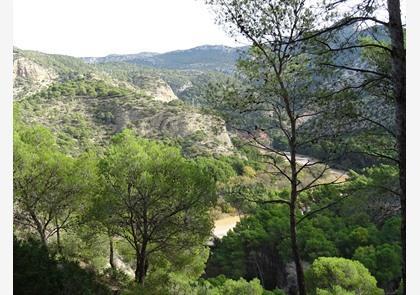 Wandelen op de Caminito del Rey: tickets reserveren en tips