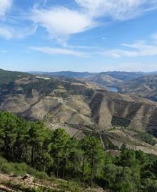 Reisgids Centraal-Portugal en Douro rondreis