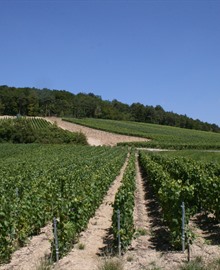 Reisgids Champagne-Marne