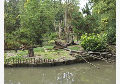 Lille: Citadelle en Zoo