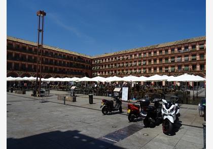 Cordoba: de Mezquita en véél meer te ontdekken