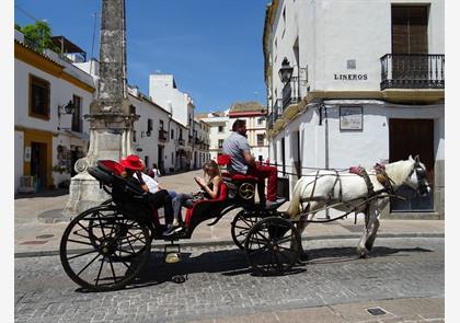 Cordoba: de Mezquita en véél meer te ontdekken