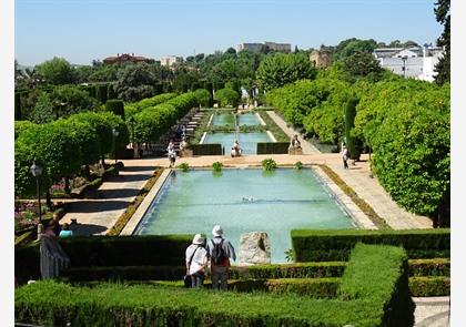 Cordoba: de Mezquita en véél meer te ontdekken