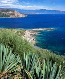 Reisgids Corsica