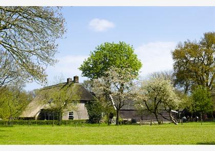 Noord-Nederland: Drenthe