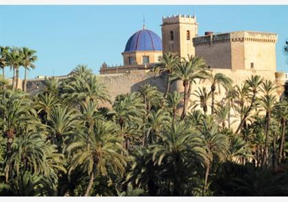 Elche (Elx): bos met palmbomen midden in de stad