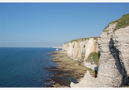 Étretat krijtrotsen bezoeken? Vakantie aan de Falaisekust