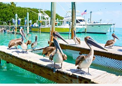 Florida Keys: een langgerekte eilandengroep