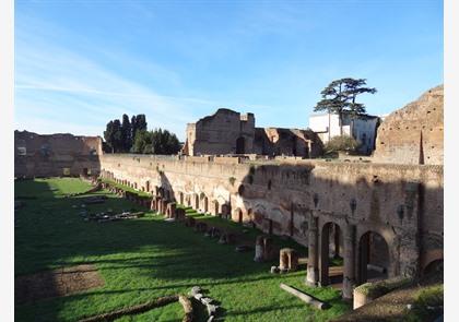 Forum Romanum: kloppend hart van antieke Rome