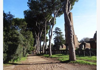 Forum Romanum: kloppend hart van antieke Rome