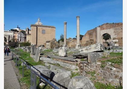 Forum Romanum: kloppend hart van antieke Rome