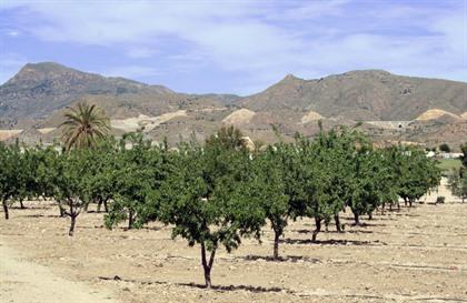 Foto's Costa Blanca