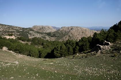 Foto's Costa Blanca