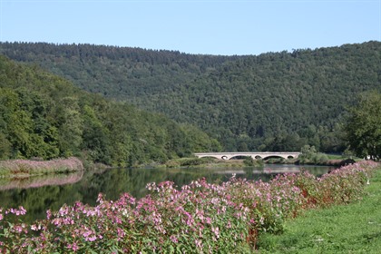 Foto's Franse Ardennen