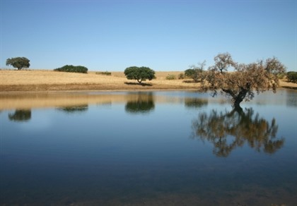 Foto's Portugal: Noord- en Centraal Portugal, Alentejo & Dourovallei