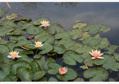 Giverny: woonhuis en tuin van Monet 