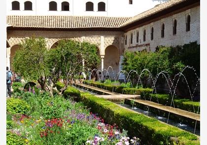 Granada: het Alhambra en meer historische bezienswaardigheden