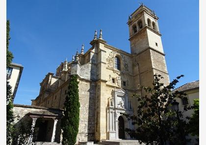 Granada: het Alhambra en meer historische bezienswaardigheden