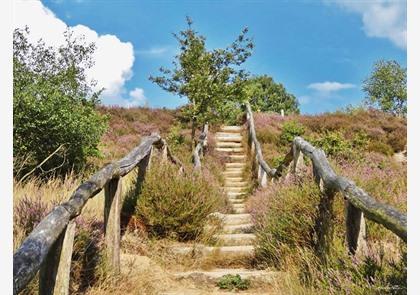 Nationaal Park Hoge Veluwe in Gelderland bezoeken?