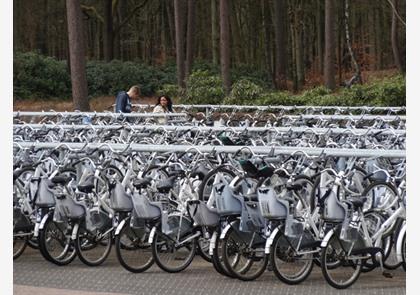 Nationaal Park Hoge Veluwe in Gelderland bezoeken?