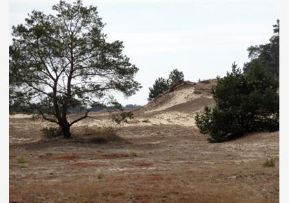 Nationaal Park Hoge Veluwe in Gelderland bezoeken?