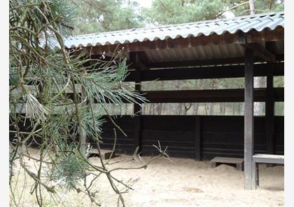 Nationaal Park Hoge Veluwe in Gelderland bezoeken?