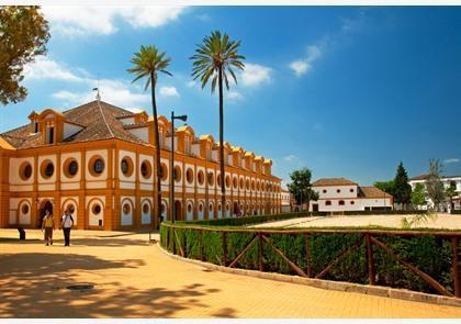 Jerez de la Frontera, waar sherry en paarden thuis zijn 