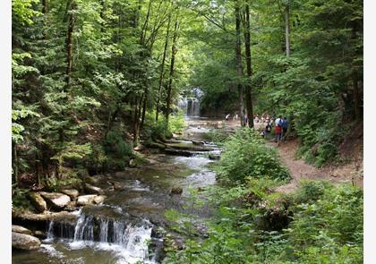 Vakantie Jura: adembenemend schoon