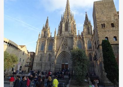 Kathedraal Barcelona: gotische schoonheid vol kerkschatten