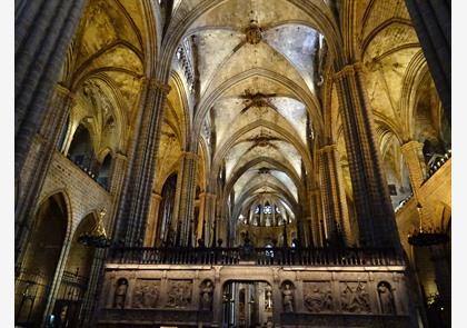 Kathedraal Barcelona: gotische schoonheid vol kerkschatten