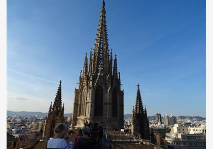 Kathedraal Barcelona: gotische schoonheid vol kerkschatten