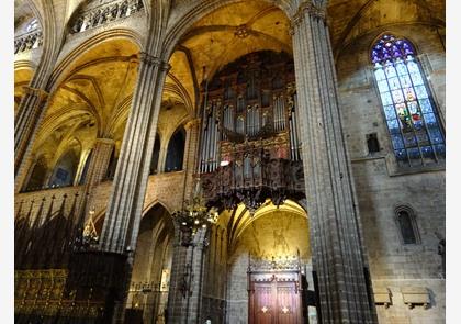 Kathedraal Barcelona: gotische schoonheid vol kerkschatten