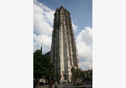 Mechelen: Sint-Romboutskathedraal 