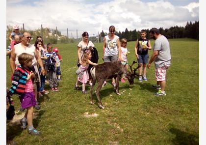 Met de kids naar de Jura!