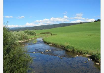 Met de kids naar de Jura!